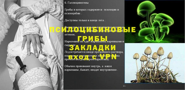 ECSTASY Волоколамск
