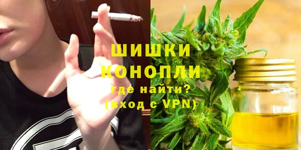 гидра Вязники
