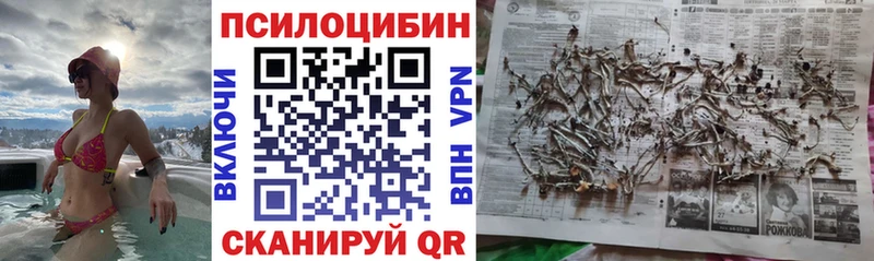 хочу наркоту  Калининец  Галлюциногенные грибы Cubensis 